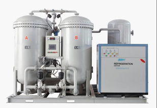 50立方變壓吸附制氮機(jī) 高效節(jié)能的工業(yè)氣體解決方案
