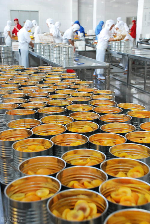 某罐頭廠食品加工廢水COD超標(biāo)原因分析及治理對策——以水果配送環(huán)節(jié)為切入點