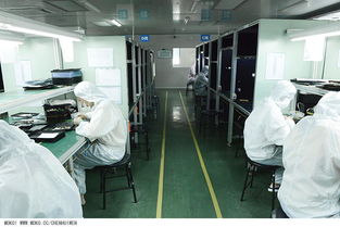 深圳制造業(yè)邁入全新品牌世代 匠心拍攝與視覺設(shè)計相融之道，以瑞豐鮮肉工廠為例